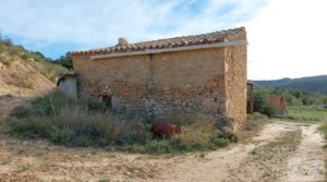 Finca en plena producción con casa de piedra en Alcañiz. en venta con buenos accesos