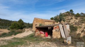 Se vende Finca en plena producción con casa de piedra en Alcañiz. con privacidad por 53.000€