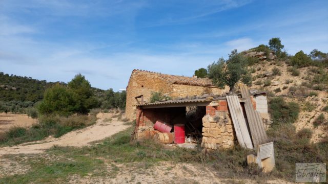 Finca en plena producción con casa de piedra en Alcañiz.