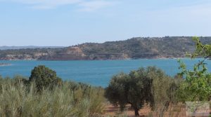 Finca en plena producción con casa de piedra en Alcañiz. a buen precio con buenos accesos