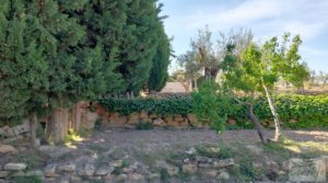 Se vende Villa en Caspe con olivos, huertos y frutales. con trastero