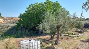 Se vende Villa en Caspe con olivos, huertos y frutales. con fosa séptica