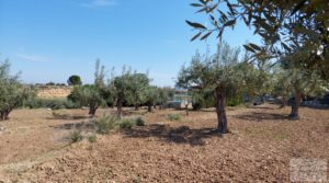 Foto de Villa en Caspe con olivos, huertos y frutales. en venta con fosa séptica