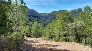 Vendemos Gran finca de 94 hectáreas en Peñarroya de Tastavins. con buenos accesos