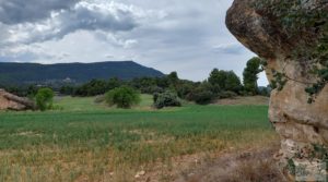 Detalle de Finca con casa de piedra en Fuentespalda. con buhardilla por 39.000€