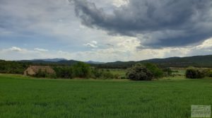 Finca con casa de piedra en Fuentespalda. para vender con buhardilla por 39.000€