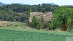 Finca con casa de piedra en Fuentespalda. en oferta con ambiente natural