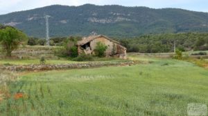 Detalle de Finca con casa de piedra en Fuentespalda. con buhardilla por 39.000€