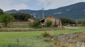 Vendemos Finca con casa de piedra en Fuentespalda. con ambiente natural