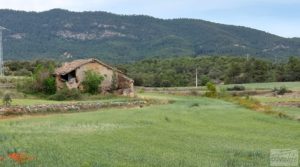 Finca con casa de piedra en Fuentespalda. en venta con buhardilla por 39.000€