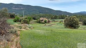 Foto de Finca con casa de piedra en Fuentespalda. con buhardilla por 39.000€