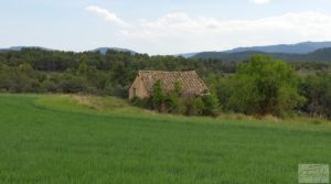 Finca con casa de piedra en Fuentespalda. a buen precio con buhardilla por 39.000€