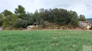 Finca con casa de piedra en Fuentespalda. para vender con buhardilla