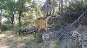 Vendemos Finca de 11 hectáreas en Ráfales con encinas truferas y frutales. con ambiente natural por 58.000€