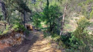 Finca de 11 hectáreas en Ráfales con encinas truferas y frutales. a buen precio con ambiente natural por 58.000€