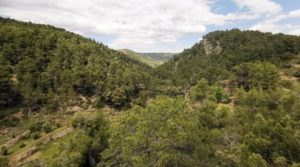 Foto de Finca de 11 hectáreas en Ráfales con encinas truferas y frutales. en venta con privacidad por 58.000€