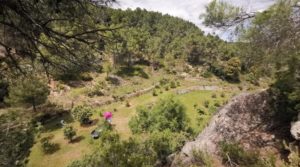 Vendemos Finca de 11 hectáreas en Ráfales con encinas truferas y frutales. con buenos accesos por 58.000€