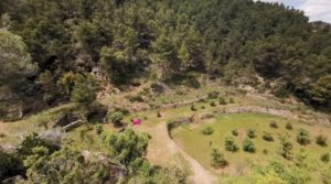 Finca de 11 hectáreas en Ráfales con encinas truferas y frutales. para vender con privacidad por 58.000€
