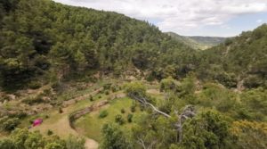 Finca de 11 hectáreas en Ráfales con encinas truferas y frutales. en venta con buenos accesos por 58.000€