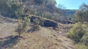 Finca de 11 hectáreas en Ráfales con encinas truferas y frutales. en venta con ambiente natural