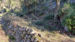 Vendemos Finca de 11 hectáreas en Ráfales con encinas truferas y frutales. con buenos accesos