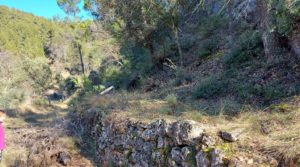 Se vende Finca de 11 hectáreas en Ráfales con encinas truferas y frutales. con privacidad por 58.000€