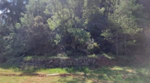 Finca de 11 hectáreas en Ráfales con encinas truferas y frutales. en venta con privacidad por 58.000€