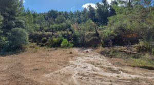 Foto de Finca de 11 hectáreas en Ráfales con encinas truferas y frutales. en venta con privacidad