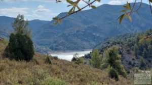 Foto de Finca de olivos y masía de piedra en La Ginebrosa. en venta con buenos accesos por 80.000€