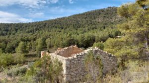 Foto de Finca de olivos y masía de piedra en La Ginebrosa. con vistas extraordinarias por 80.000€