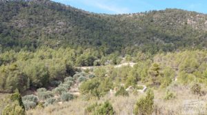 Finca de olivos y masía de piedra en La Ginebrosa. para vender con buenos accesos