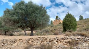 Foto de Finca de olivos y masía de piedra en La Ginebrosa. en venta con vistas extraordinarias