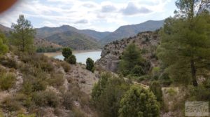 Se vende Finca de olivos y masía de piedra en La Ginebrosa. con buenos accesos