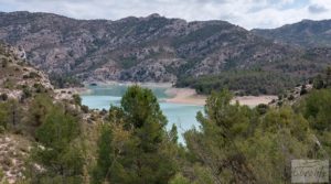 Detalle de Finca de olivos y masía de piedra en La Ginebrosa. con buenos accesos