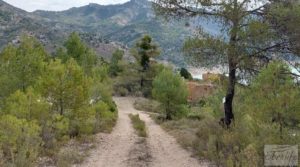 Foto de Finca de olivos y masía de piedra en La Ginebrosa. en venta con buenos accesos