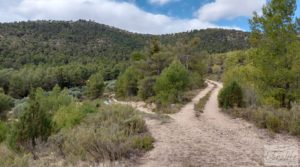 Foto de Finca de olivos y masía de piedra en La Ginebrosa. en venta con vistas extraordinarias por 80.000€