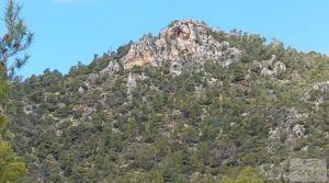 Detalle de Finca de olivos y masía de piedra en La Ginebrosa. con vistas extraordinarias