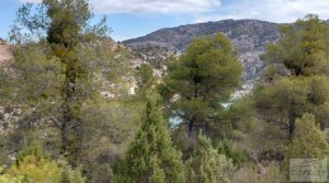 Finca de olivos y masía de piedra en La Ginebrosa. para vender con buenos accesos