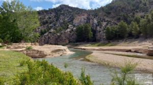 Finca de olivos y masía de piedra en La Ginebrosa. en oferta con buenos accesos