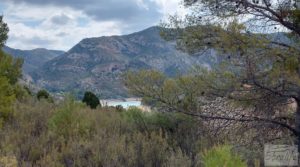 Se vende Finca de olivos y masía de piedra en La Ginebrosa. con buenos accesos