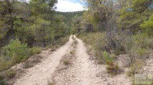 Finca de olivos y masía de piedra en La Ginebrosa. en oferta con vistas extraordinarias por 80.000€