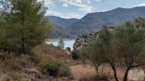 Se vende Finca de olivos y masía de piedra en La Ginebrosa. con buenos accesos