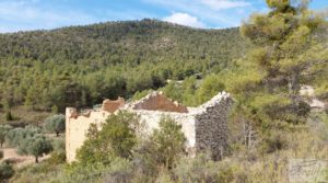 Detalle de Finca de olivos y masía de piedra en La Ginebrosa. con buenos accesos por 80.000€