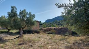 Foto de Finca en Fuentespalda, en la Sierra dels Ports con privacidad por 160.000€