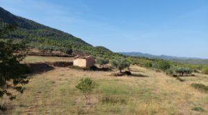 Finca en Fuentespalda con masía de adobe. a buen precio