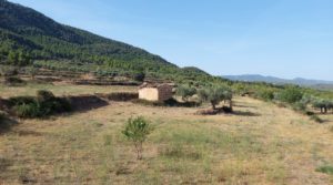 Se vende Finca en Fuentespalda con masía de adobe.