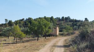 Se vende Finca en Fuentespalda con masía de adobe. por 66.000€