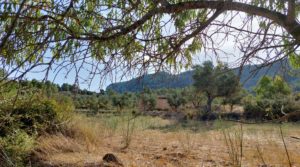 Finca en Fuentespalda con masía de adobe. a buen precio