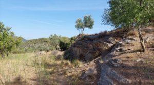 Foto de Finca en Fuentespalda con masía de adobe.