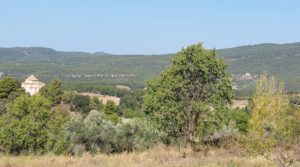 Foto de Finca en Fuentespalda con masía de adobe. en venta